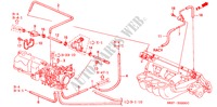 TUBAGEM(L4)(1) para Honda ACCORD COUPE 2.0IES 2 portas 5 velocidades manuais 1998