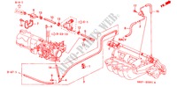 TUBAGEM(L4)(2) para Honda ACCORD COUPE 2.0IES 2 portas 5 velocidades manuais 2000