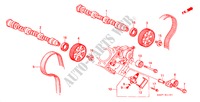 ARVORE CAMES/CORREIA DISTRIBUICAO(V6) para Honda ACCORD 3.0V6 4 portas automática de 4 velocidades 2000