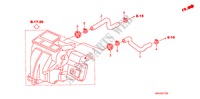 TUBO FLEXIVEL LAVA(LH) para Honda JAZZ 1.4 ES 5 portas totalmente automática CVT 2008