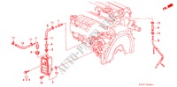 CAMARA RESPIRACAO (DOHC VTEC) para Honda CIVIC 1.8VTI 5 portas 5 velocidades manuais 1997