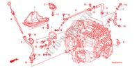 TUBO METALICO ATF(2.4L) para Honda CR-V EXECUTIVE 5 portas automática de 5 velocidades 2009