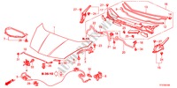 CAPOT MOTOR(LH) para Honda JAZZ 1.2LSE 5 portas 5 velocidades manuais 2011