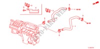TUBO FLEXIVEL LAVA(2.0L)(D.) para Honda ACCORD 2.0 S 4 portas 6 velocidades manuais 2010