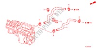 TUBO FLEXIVEL LAVA(2.4L) (D.) para Honda ACCORD TOURER 2.4 EXECUTIVE 5 portas 6 velocidades manuais 2009