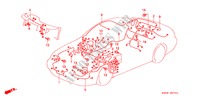 CABLAGEM(D.) para Honda PRELUDE SI 2 portas automática de 4 velocidades 2001