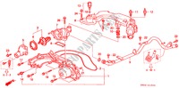 BOMBA AGUA/SENSOR(V6) para Honda ACURA 3.2TL 3.2TL 4 portas automática de 4 velocidades 1996