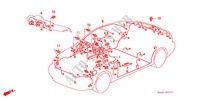 CABLAGEM(D.) para Honda BALLADE 150I 4 portas automática de 4 velocidades 1997