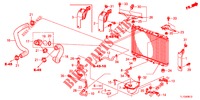 TUBO FLEXIVEL RADIADOR/DEPOSITO RESERVA (DIESEL) para Honda ACCORD DIESEL 2.2 ELEGANCE 4 portas 6 velocidades manuais 2013