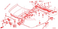 CAPOT (LH) para Honda ACCORD DIESEL 2.2 LUXURY 4 portas automática de 5 velocidades 2014