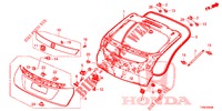 PAINEL PORTA TRASEIRA(2 PORTAS)  para Honda CIVIC 1.8 LIFESTYLE 5 portas automática de 5 velocidades 2014